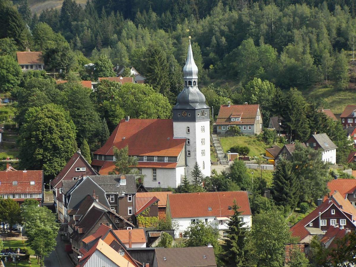 Ferienwohnung Harzblick Lautenthal Bagian luar foto