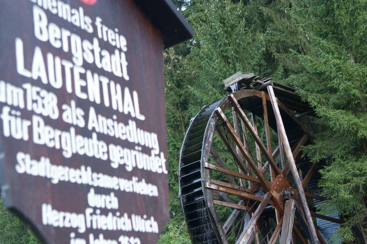 Ferienwohnung Harzblick Lautenthal Bagian luar foto