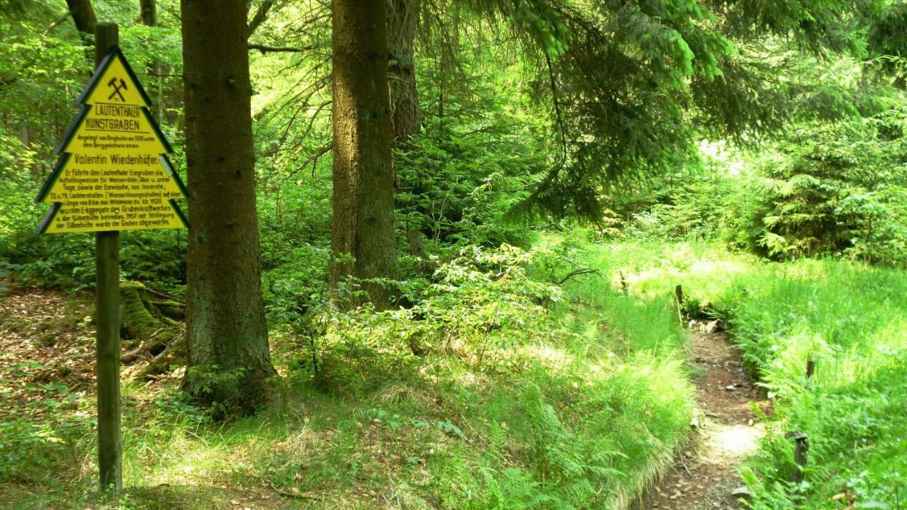 Ferienwohnung Harzblick Lautenthal Bagian luar foto