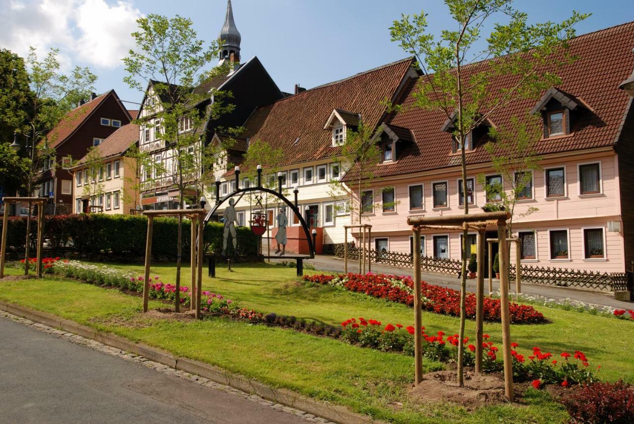 Ferienwohnung Harzblick Lautenthal Bagian luar foto