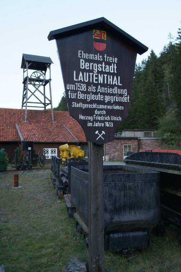 Ferienwohnung Harzblick Lautenthal Bagian luar foto